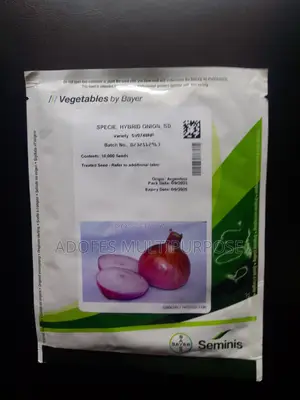 Onion Seeds F1 10,000 Seeds