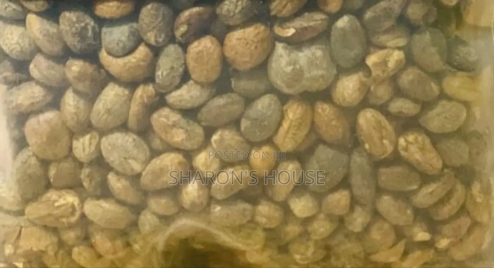 Miracle Seed/ Ghana Seed