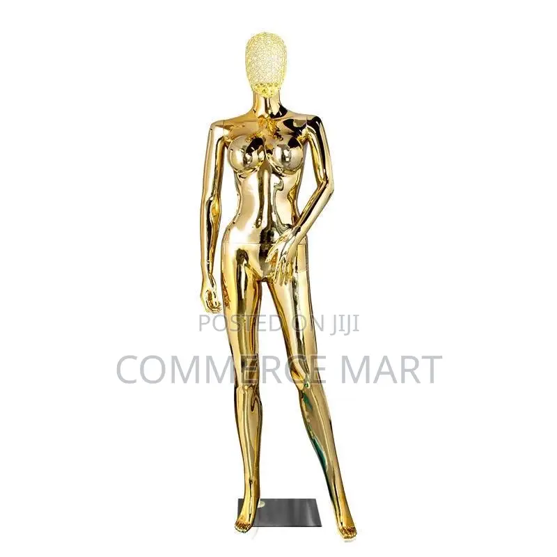 Wire Head Chrome Mannequin