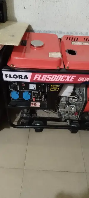 Flora Basic Diesel Generator 7kva