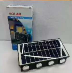 Solar Light - 2 Bulbs