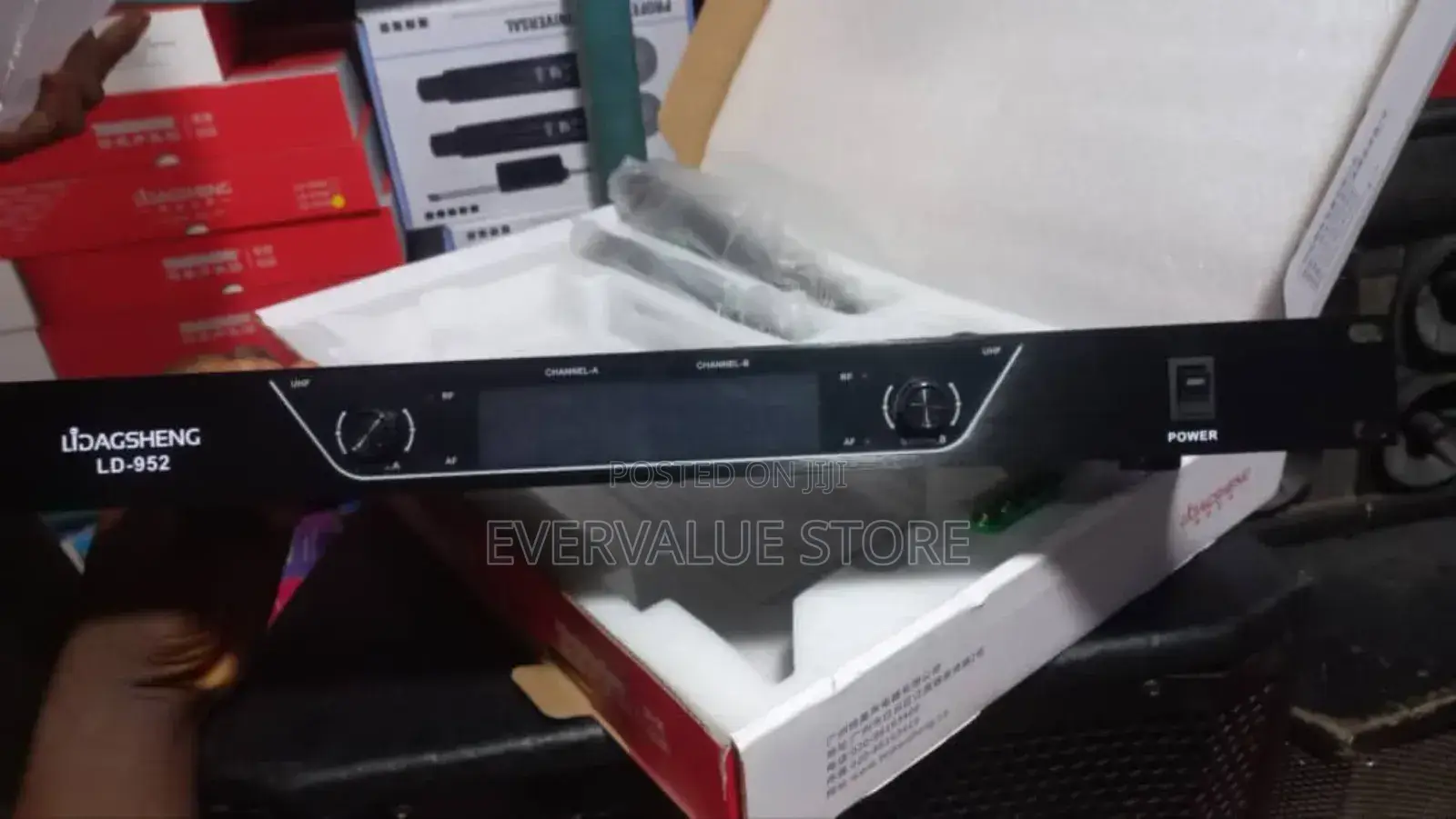 Professional Wireless Microphone