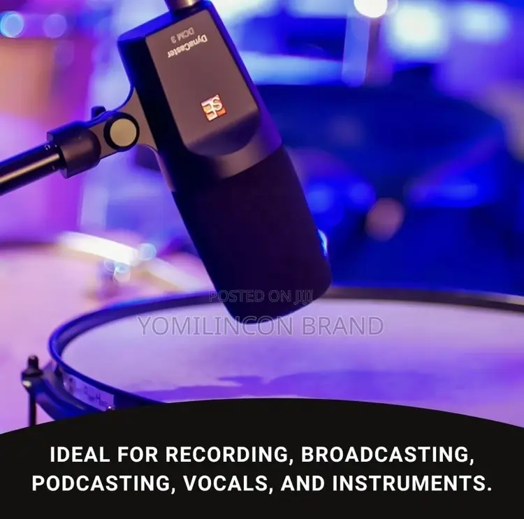 Se Electronics Dynacaster DCM3 Dynamic Broadcast Microphone