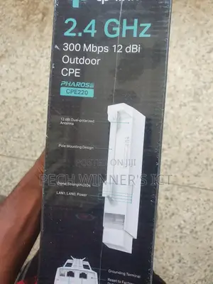 Outdoor Access Point