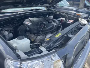 Toyota Tacoma 2010 Gray