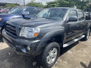 Toyota Tacoma 2010 Gray