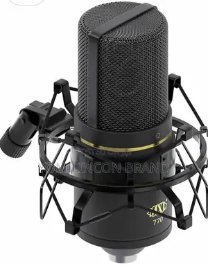 MXL 770 Condenser Microphone Complete Bundle and Cable
