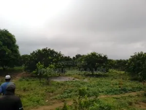 4 Hectares of Land for Sale