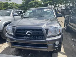 Toyota Tacoma 2010 Gray