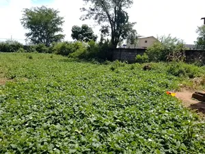 2000sqm. Land for Sale