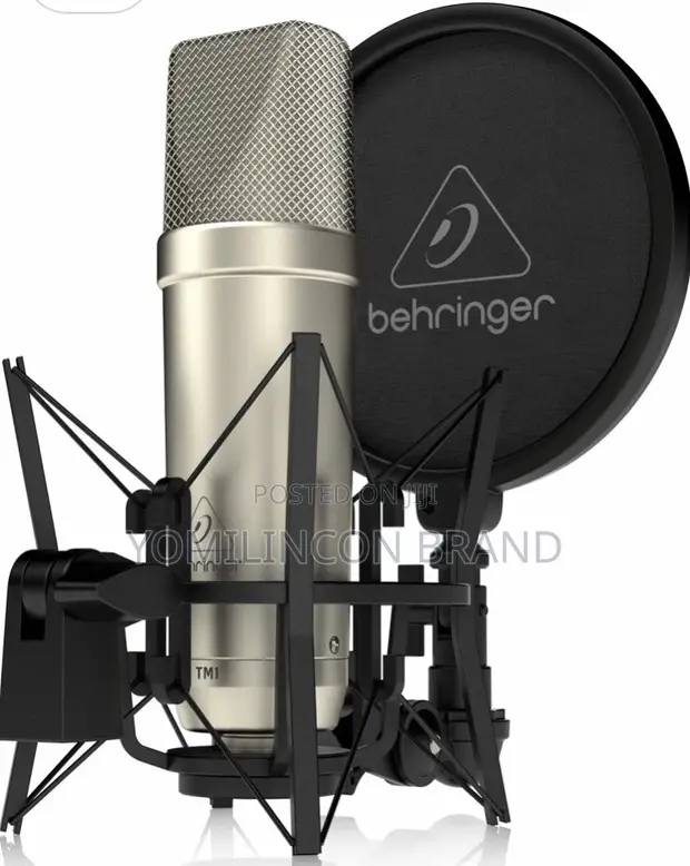 TANNOY TM1 コンデンサーマイク　美品 Tannoy TM1 Complete Recording Package Microphone for sale