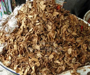 1 Painter of Dried Ginger