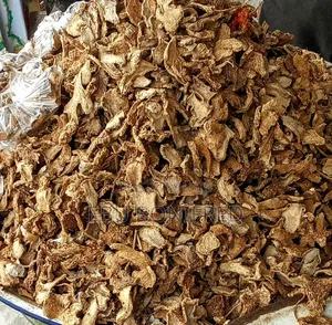 1 Painter of Dried Ginger