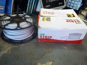 Neon Led Light