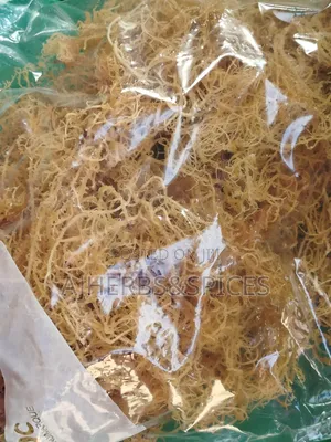 Sea Moss/Sea Weed