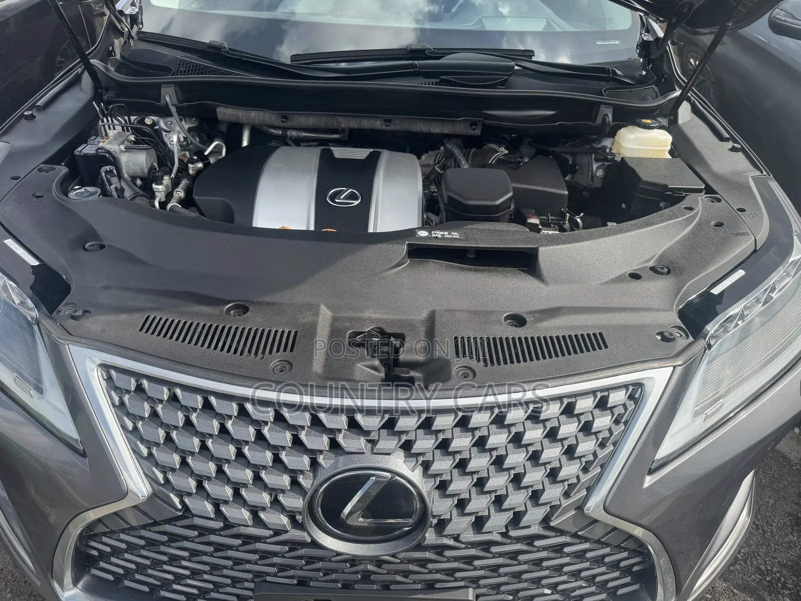 Lexus RX 350 4WD 2021 Gray