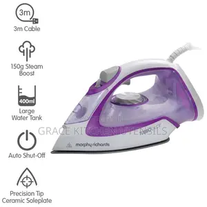Morphy Richards Iron