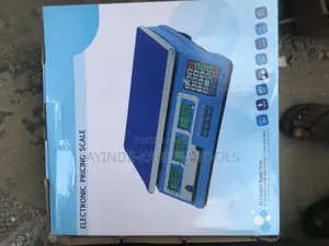 Electronic Pricing Scale