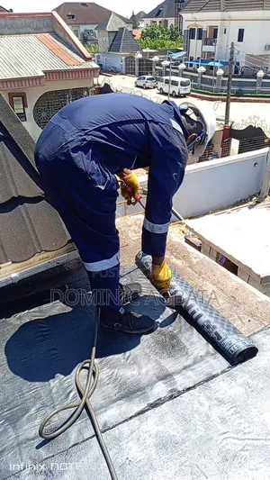 Insightful Waterproofing Experts