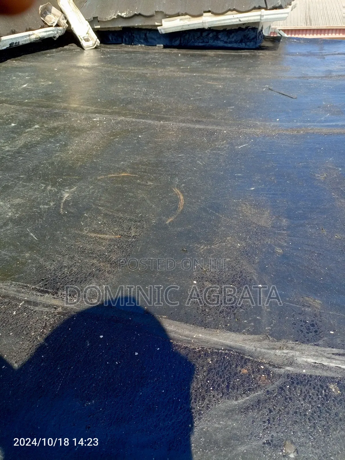 Omniscient Waterproofing Professionals