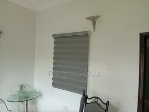 Windows Blinds