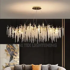 Crystal Chandelier Living Room Golden Dining Room Interior
