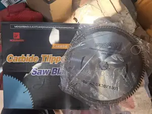 10-inch Circular Saw Blade 10"×3.0×30×100t C.Woermann