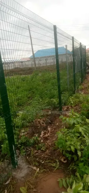 Green Colour 50 X 100 Wire Mesh