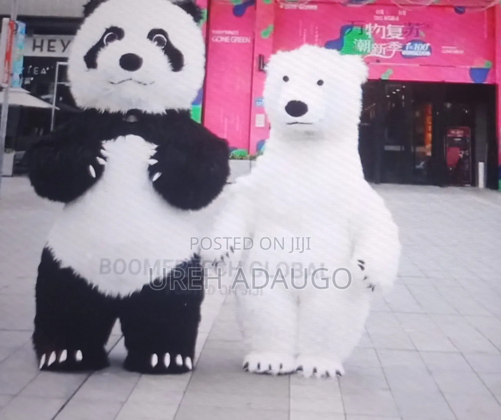 Panda Costume