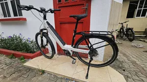 Riese Müller Top End German Swiss Ebike