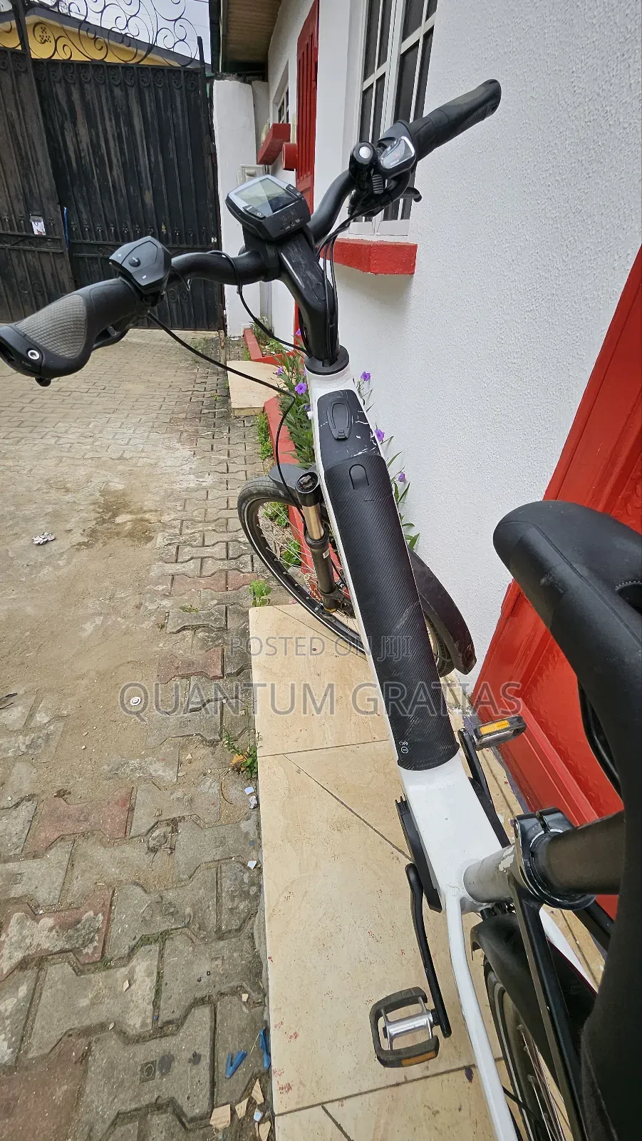 Riese Müller Top End German Swiss Ebike