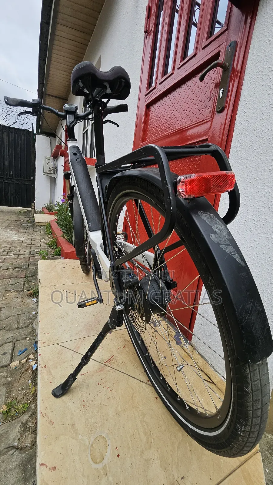 Riese Müller Top End German Swiss Ebike