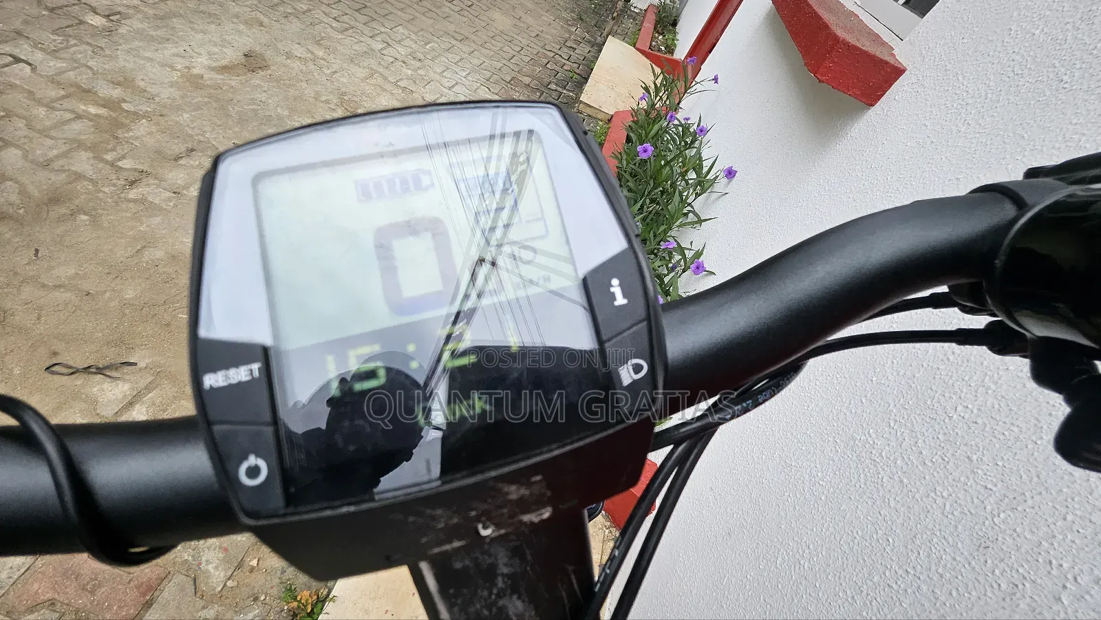 Riese Müller Top End German Swiss Ebike