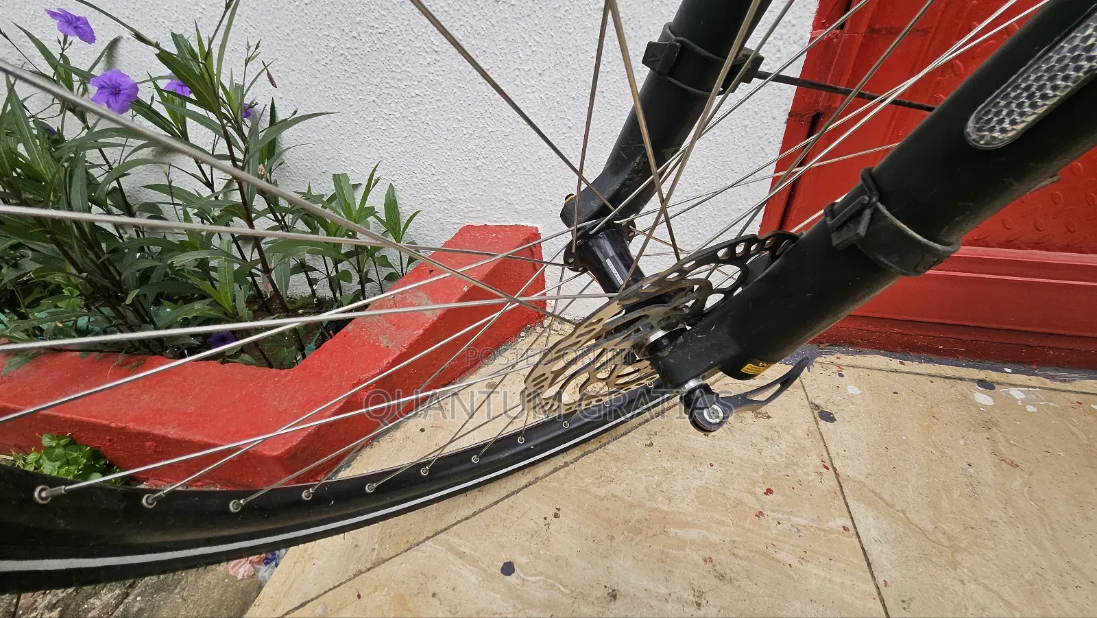 Riese Müller Top End German Swiss Ebike