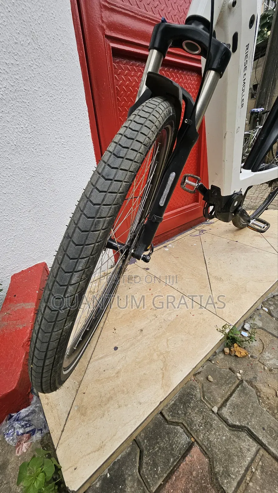 Riese Müller Top End German Swiss Ebike