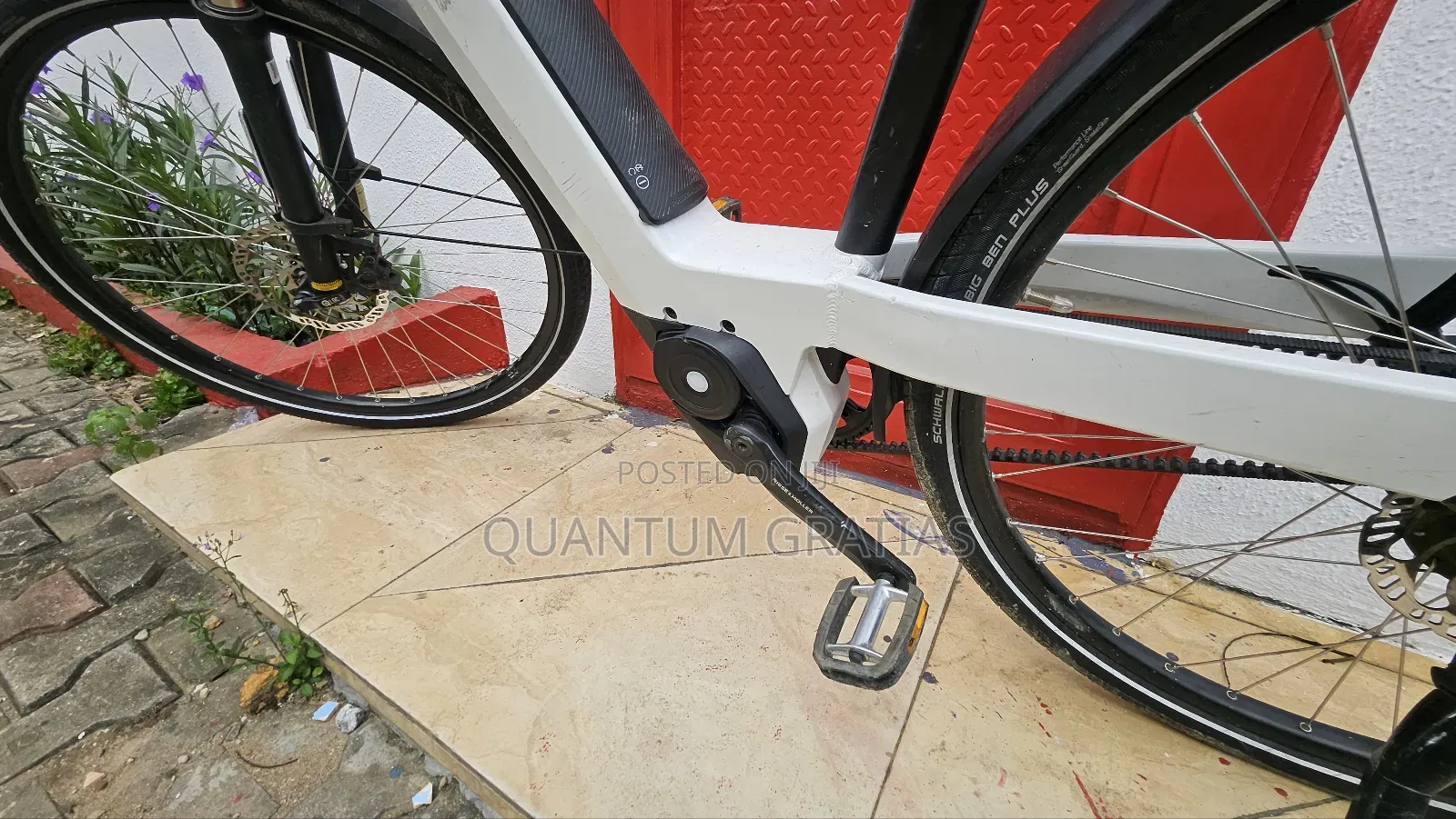 Riese Müller Top End German Swiss Ebike