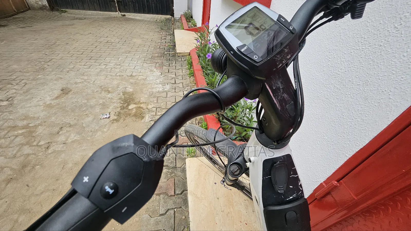 Riese Müller Top End German Swiss Ebike