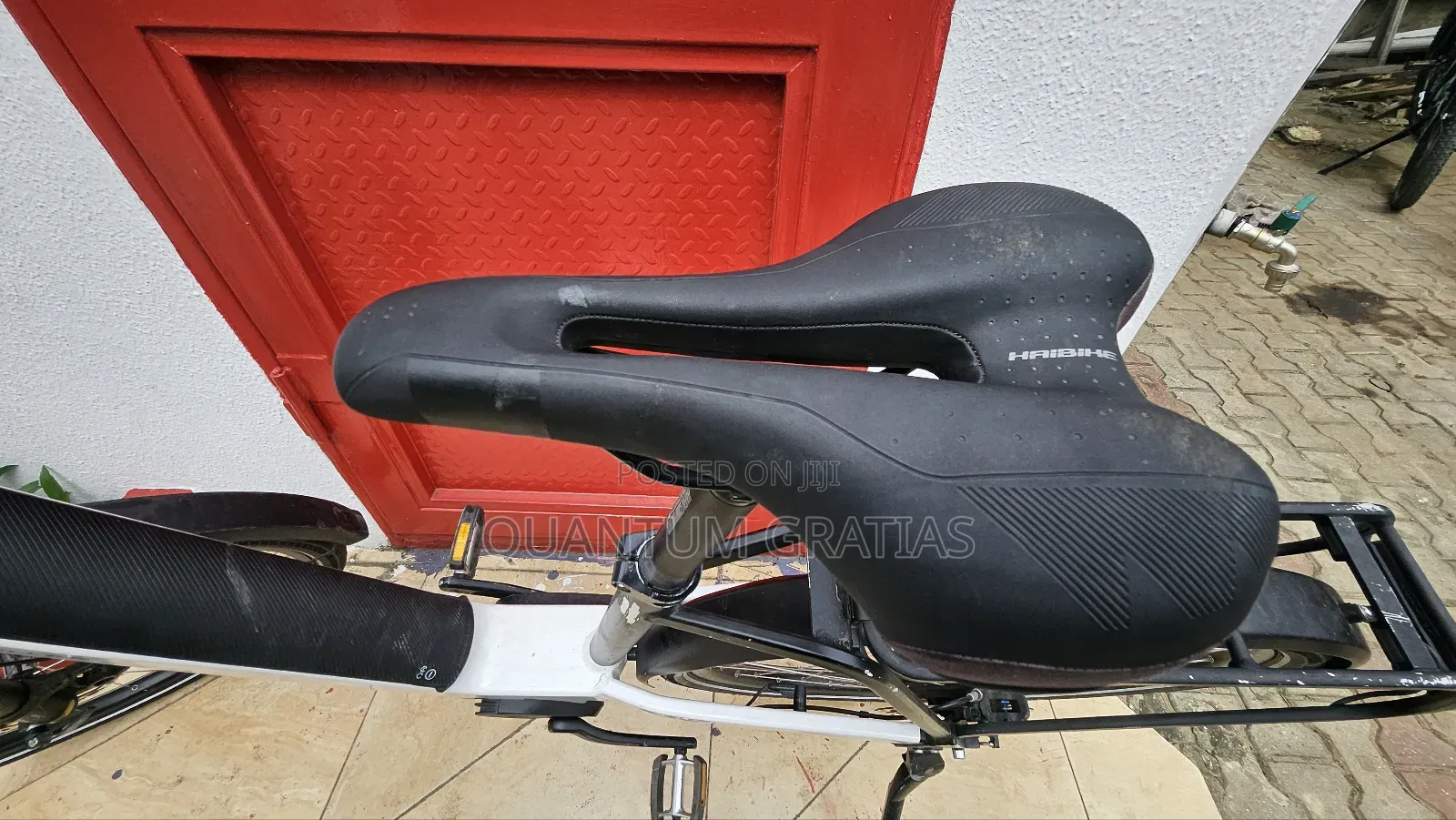 Riese Müller Top End German Swiss Ebike