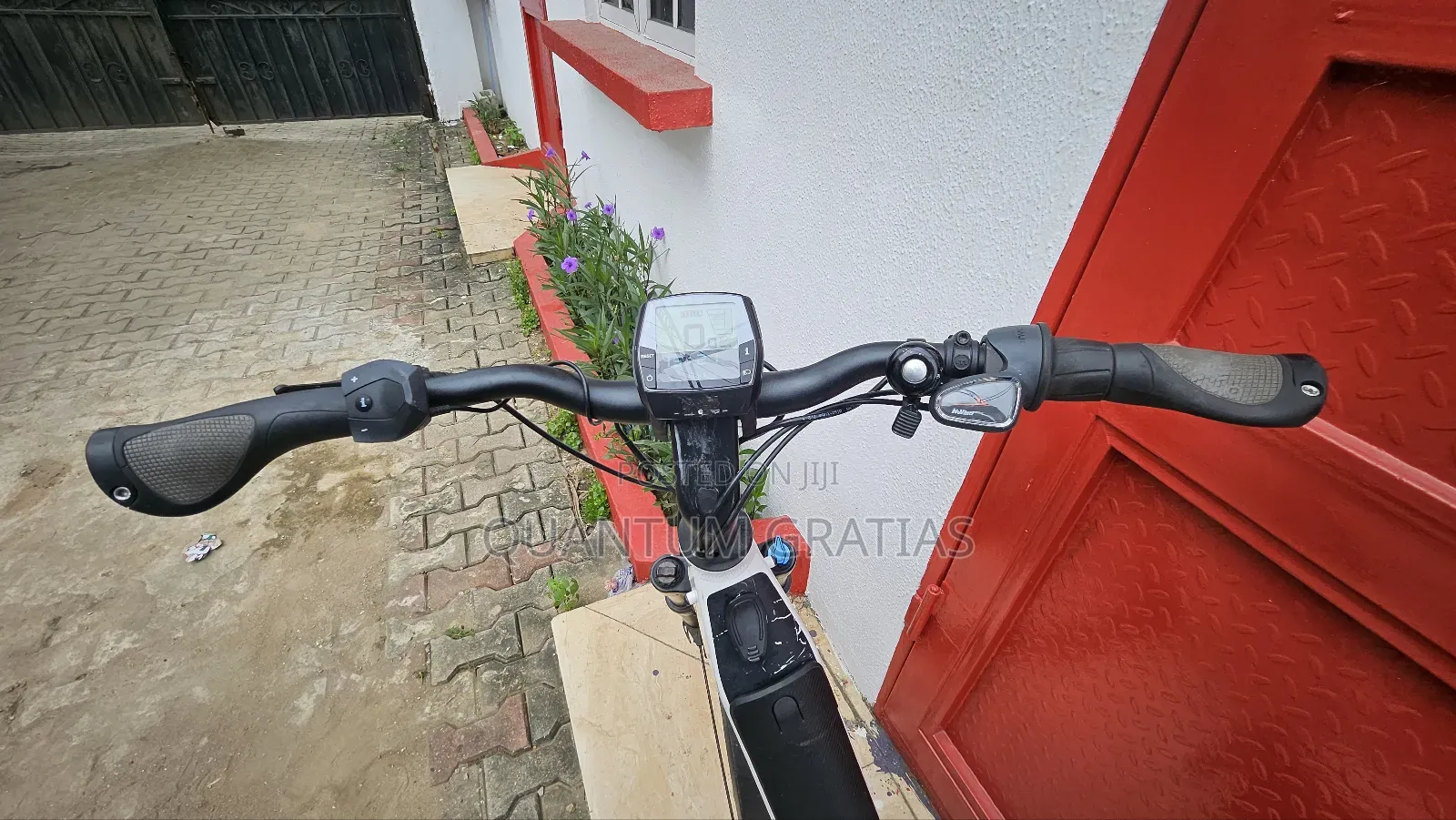 Riese Müller Top End German Swiss Ebike