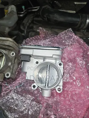Jeep Compass Throttle Body/Injector Mouth