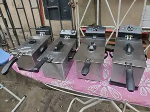 Standard Stainless Deep Fryer