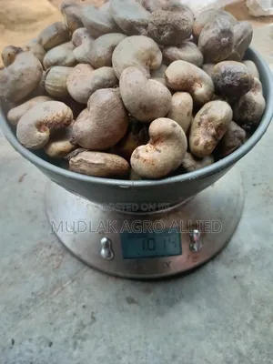 Cashew Nuts, Soyabeans,Maize,Cocoa, Shea Nuts, Sesame Seed,Etc.