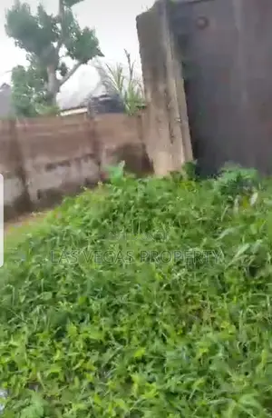 One Sharp Plot of Land With Fence and Gate at Umuoma Irete