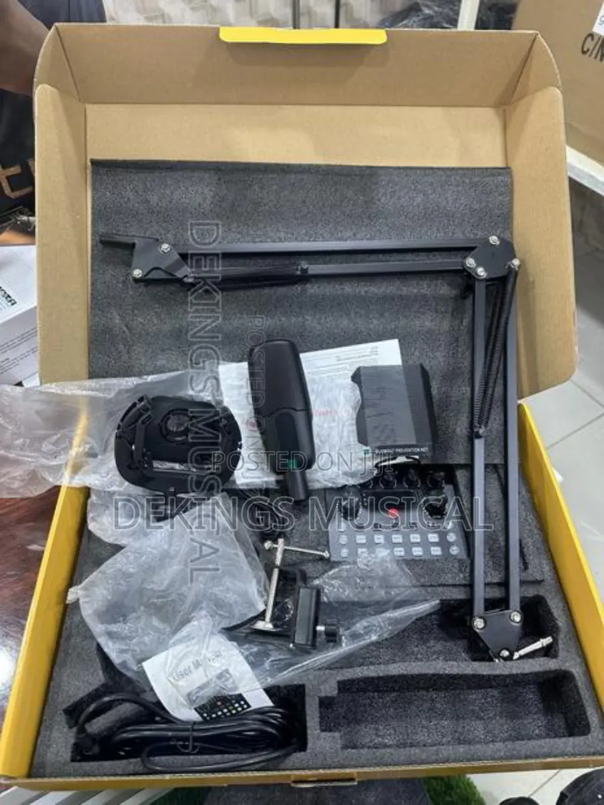 Professional Condenser Microphone