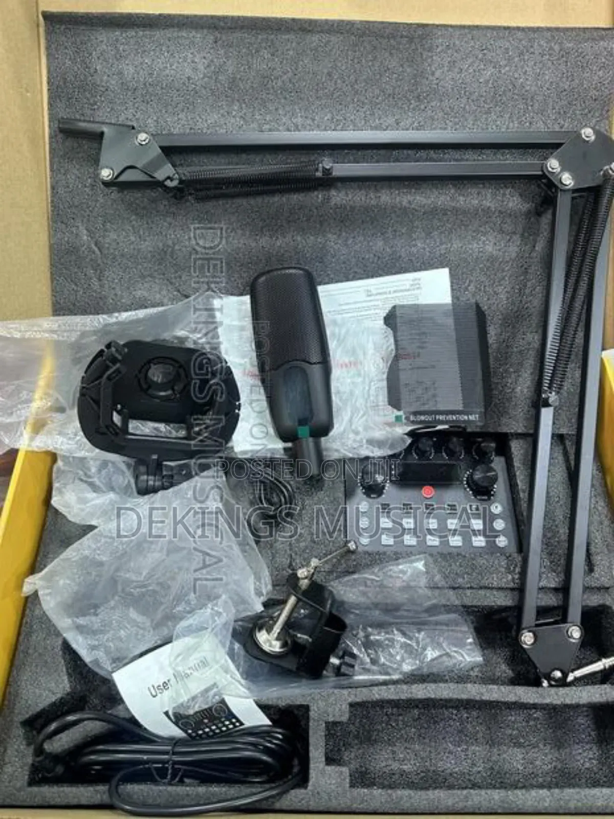 Professional Condenser Microphone