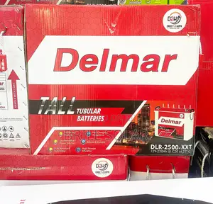 12v-220ah Delmar Solar Tubular Battery