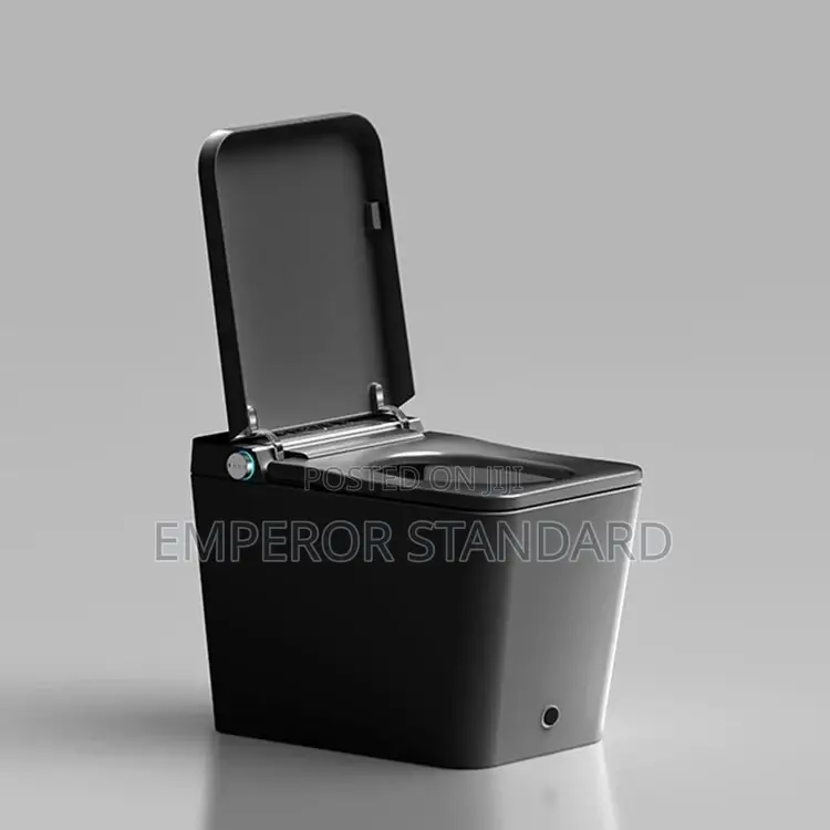 Smart Wc Electric Senor and Remote Control