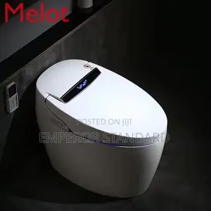 Luxury Sensor Smart Intelligent Toilet