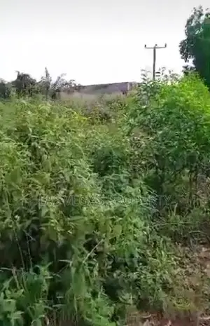 13 Plots of Land Along Imo Airport Road Owerri Imo State