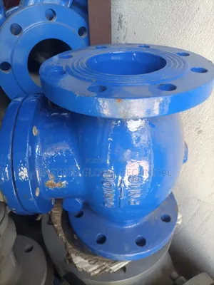 Check Valve DN100 PN16